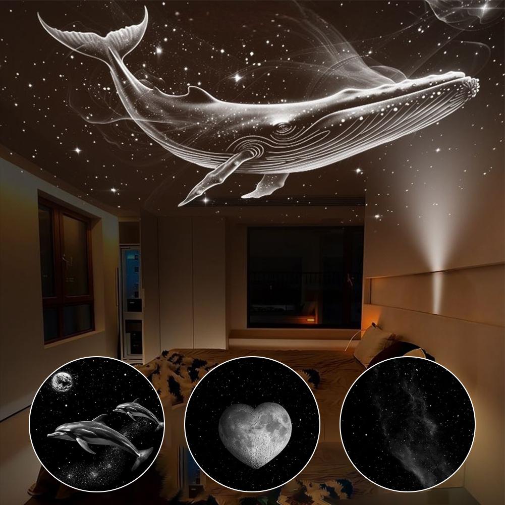 แผ่นสไลด์เปลี่ยนสำหรับเครื่องฉ - Planetarium Projector Home บทวิจารณ์และราคา