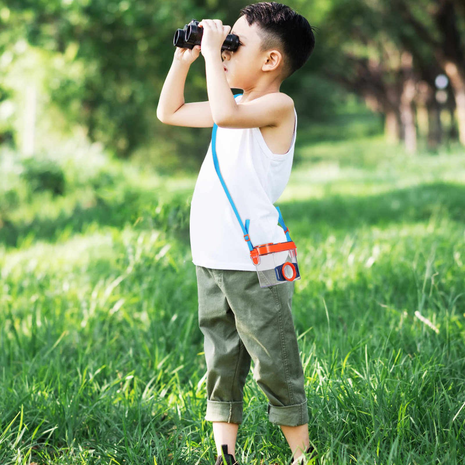 ชุดกล่องส่องแมลงแบบโปร่งใสพร้อ - Science Toy บทวิจารณ์และราคา